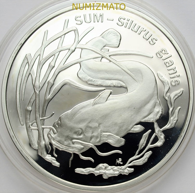 20 zł 1995 r. - Sum (Silurus galanis), Zwierzęta Świata