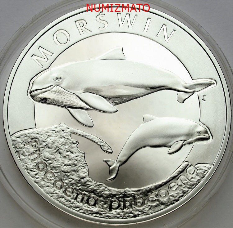 20 zł 2004 r. - Morświn (Phocoena phocoena) - Zwierzęta Świata