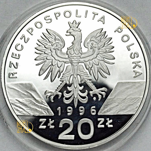 20 zł 1996 r. - Jeż Jeże (Erinaceus europaeus) - Zwierzęta Świata