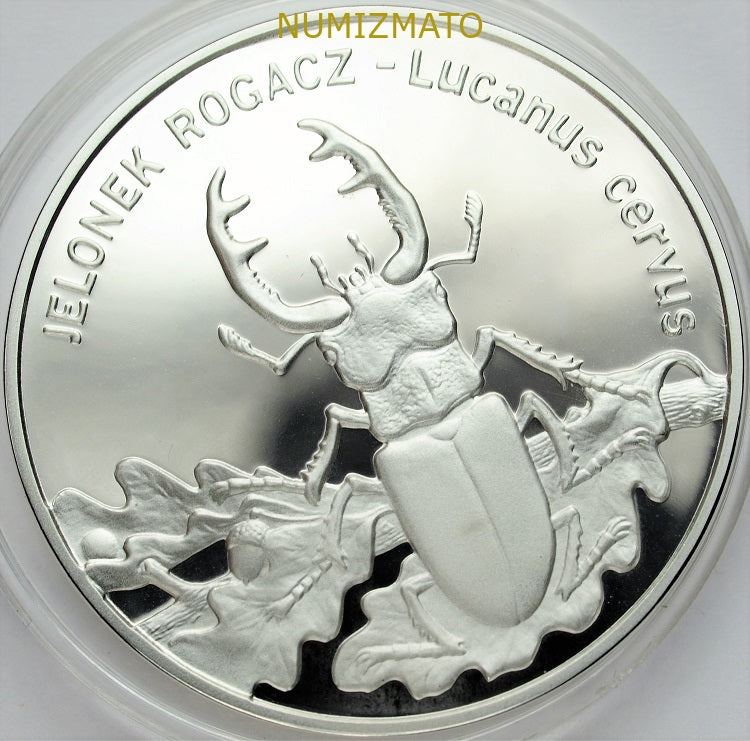 20 zł 1997 r. - Jelonek rogacz (Lucanus cereus), Zwierzęta Świata