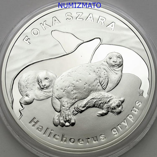 20 zł 2007 r. - Foka szara - Zwierzęta Świata