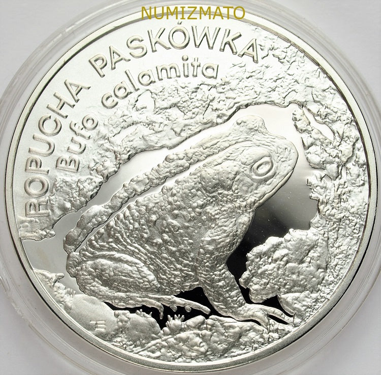 20 zł 1998 r. - Ropucha paskówka (Bufo calamita) - Zwierzęta Świata