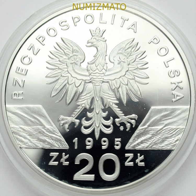 20 zł 1995 r. - Sum (Silurus galanis), Zwierzęta Świata