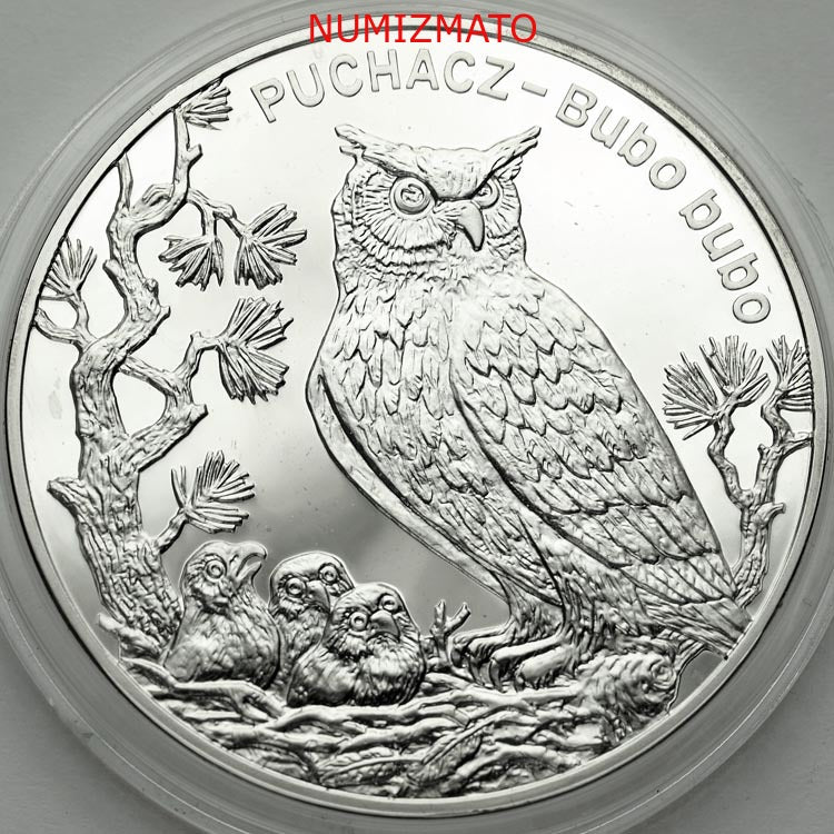 20 zł 2005 r. - Puchacz (Bubo bubo), Zwierzęta Świata