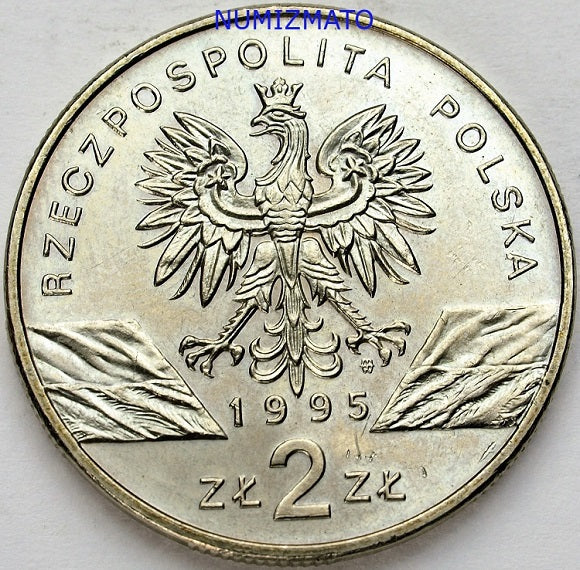 2 zł 1995 r. - Sum (Silurus glanis) - Zwierzęta Świata, dwa złote MN
