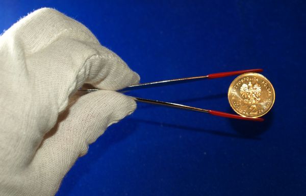 Penseta, pinceta do monet - Leuchtturm